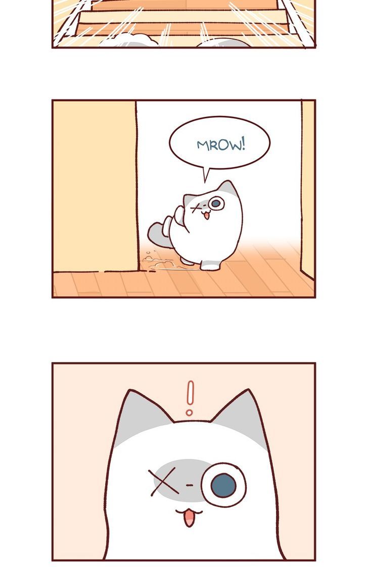 Saphie: The One-Eyed Cat - Chapter 81