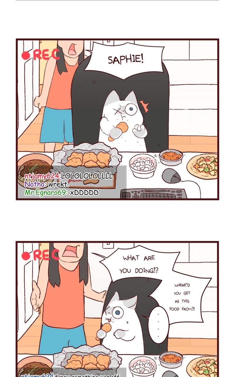 Saphie: The One-Eyed Cat - Chapter 122