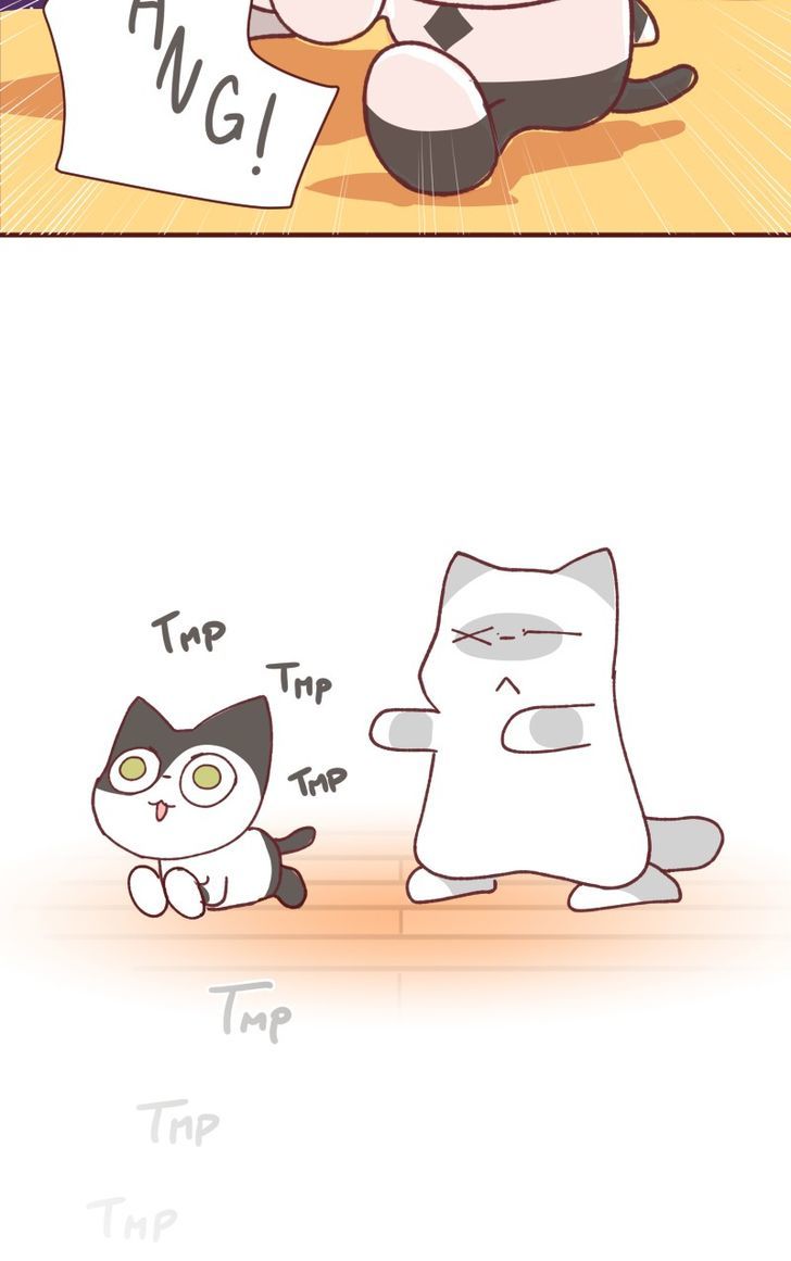 Saphie: The One-Eyed Cat - Chapter 98