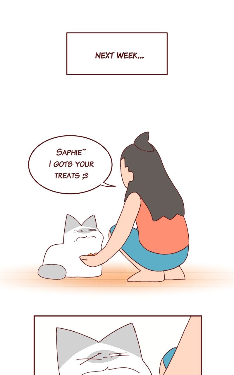 Saphie: The One-Eyed Cat - Chapter 186