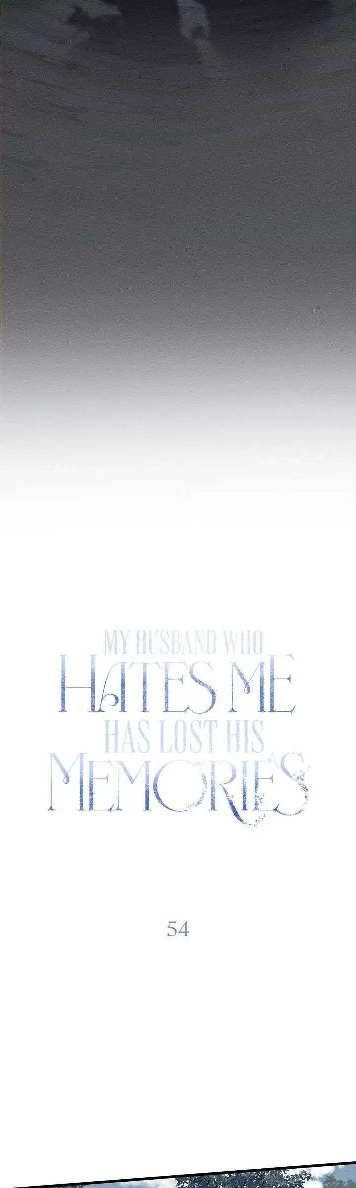 My Husband Who Hates Me Has Lost His Memories - Chapter 54