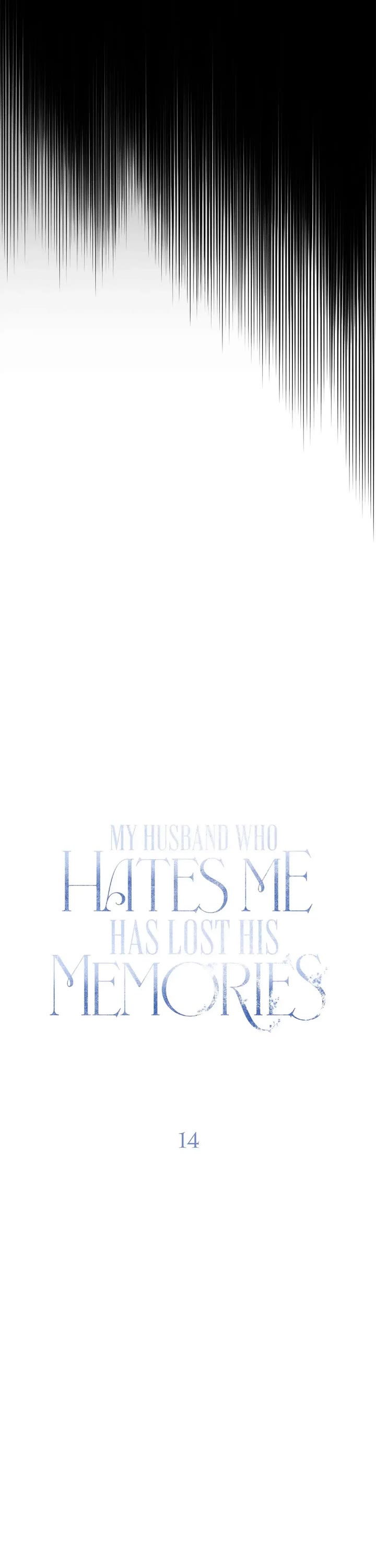 My Husband Who Hates Me Has Lost His Memories - Chapter 14