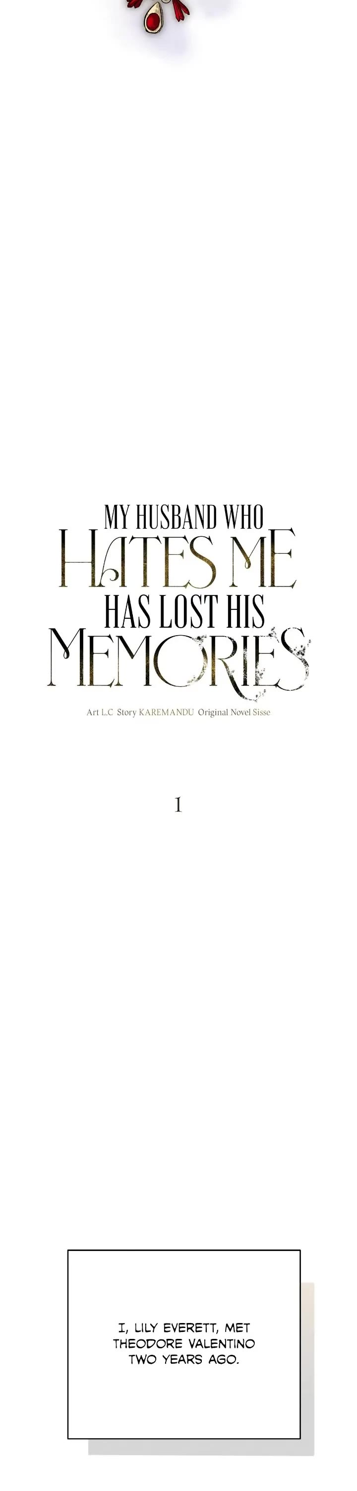 My Husband Who Hates Me Has Lost His Memories - Chapter 1