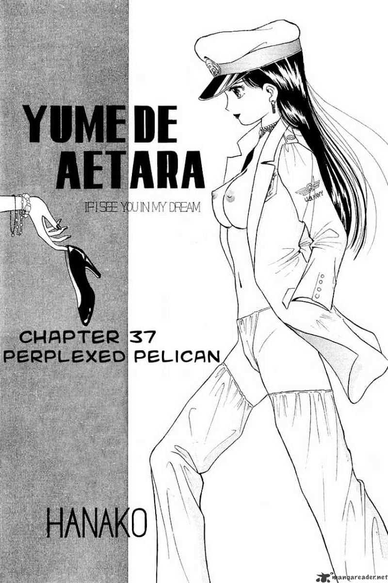 Yume De Aetara - Chapter 37 : Perplexed Pelican