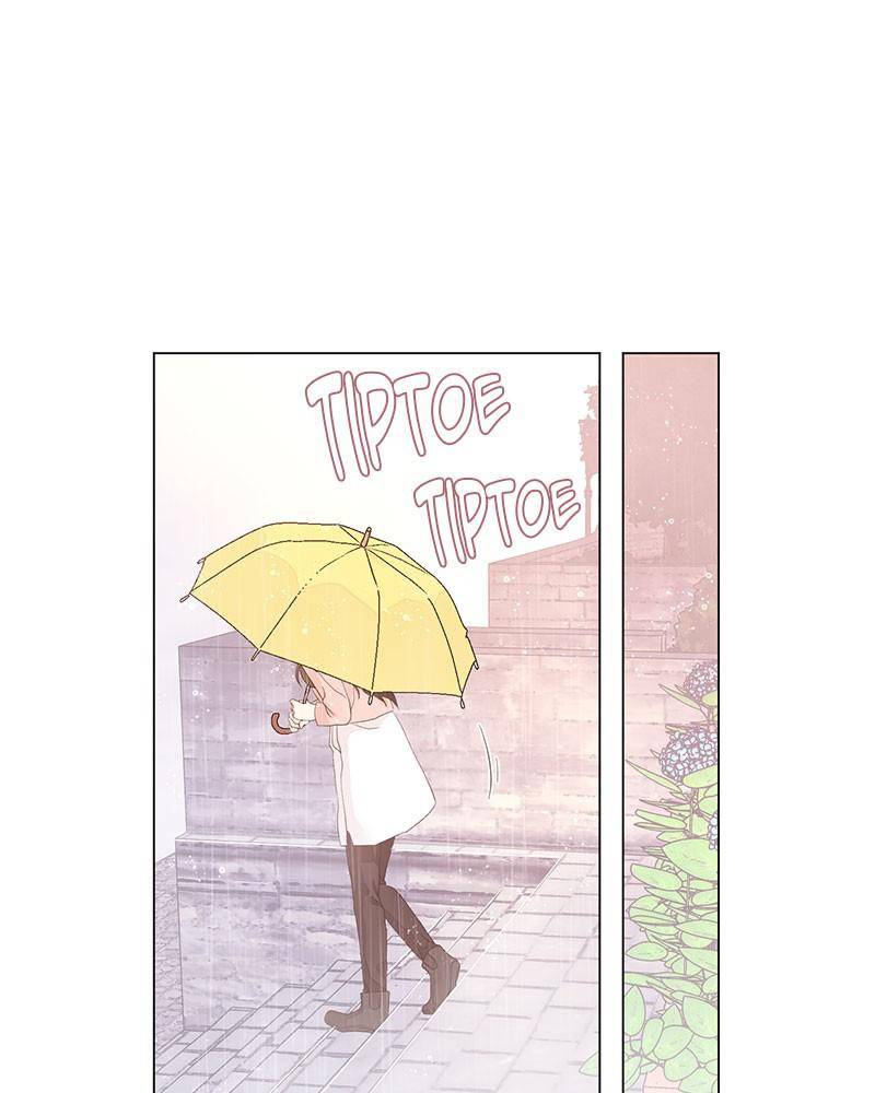 Love Falls Like Rain - Chapter 11