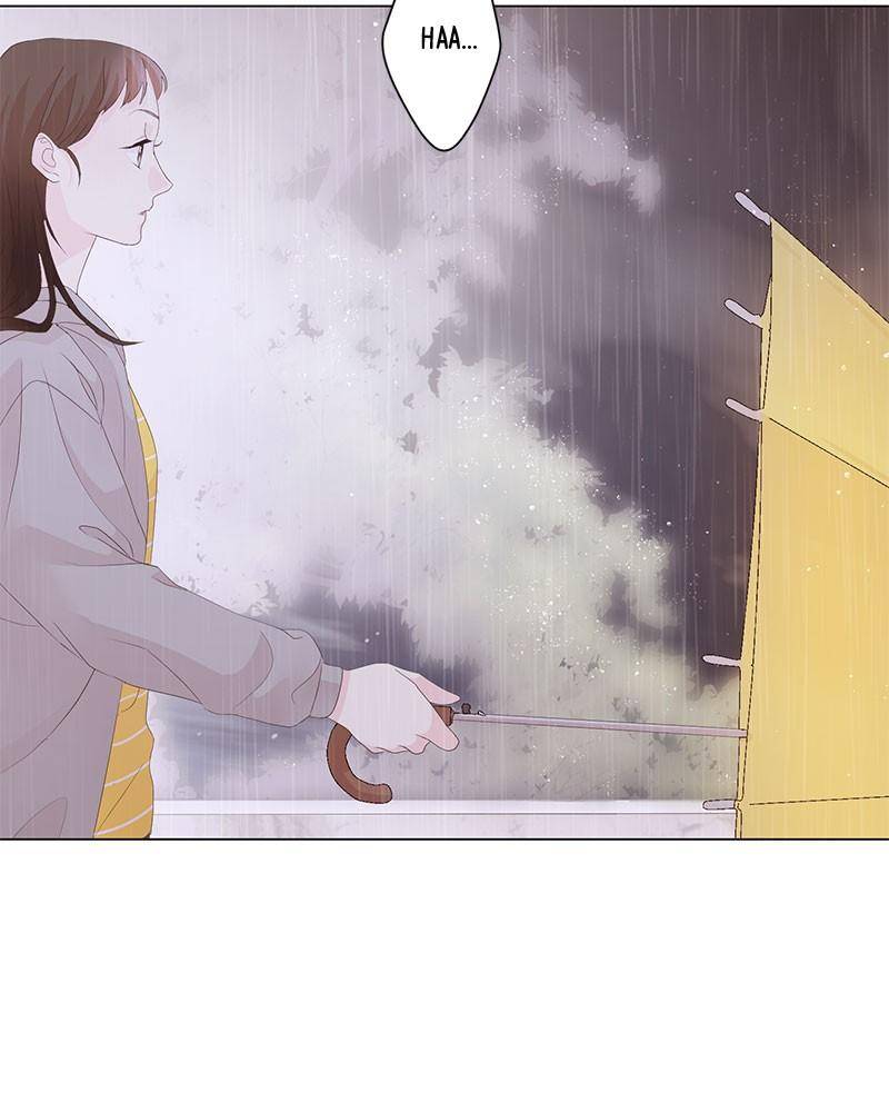 Love Falls Like Rain - Chapter 5