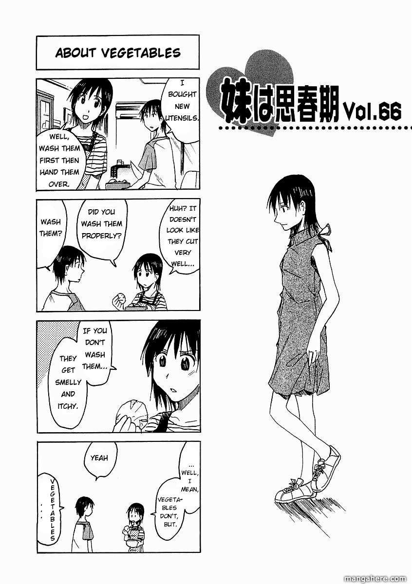 Imouto Wa Shishunki - Vol.04 Chapter 14