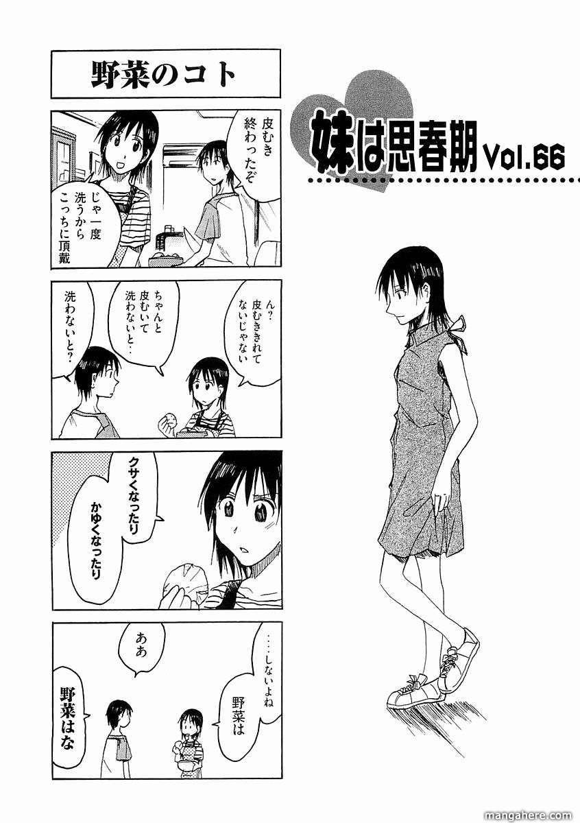 Imouto Wa Shishunki - Vol.04 Chapter 13