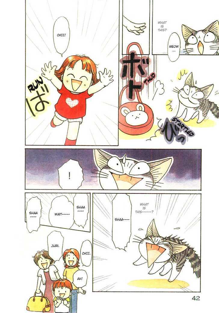 Chii's Sweet Home - Vol.3 Chapter 44 : Cat, Being Attacked