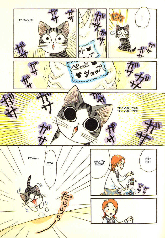 Chii's Sweet Home - Vol.1 Chapter 11 : Cat Plays