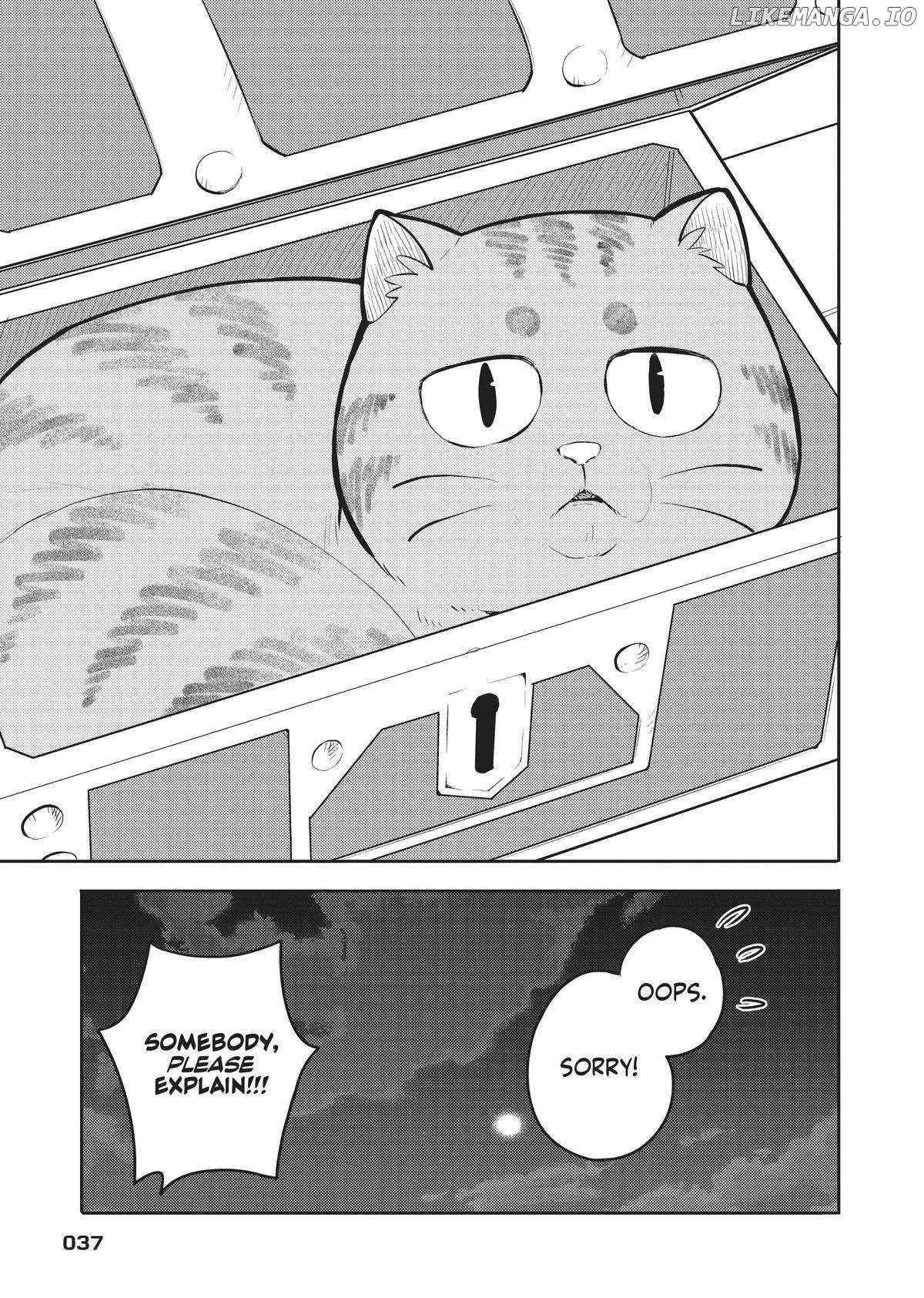 Cat On The Hero's Lap - Chapter 11