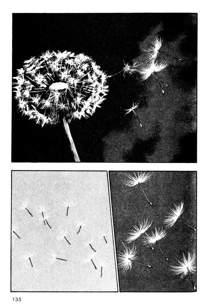 Shamo - Vol.2 Chapter 17 : Equinox Flowers