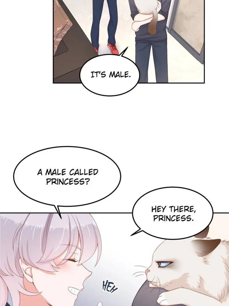 National School Prince Is A Girl - Chapter 51