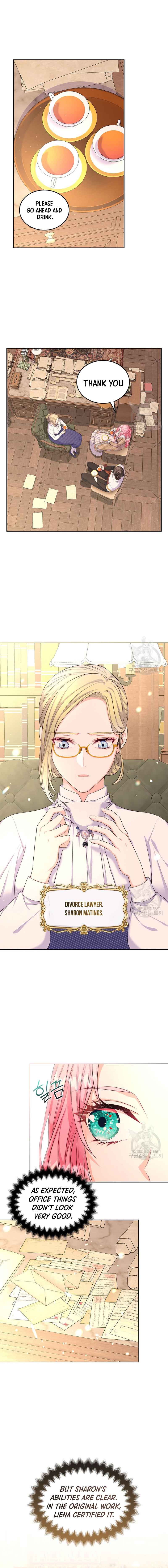 I Will Divorce The Female Lead’s Siscon Brother - Chapter 15