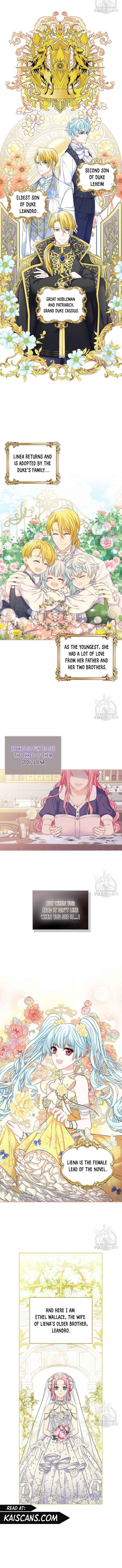 I Will Divorce The Female Lead’s Siscon Brother - Chapter 1