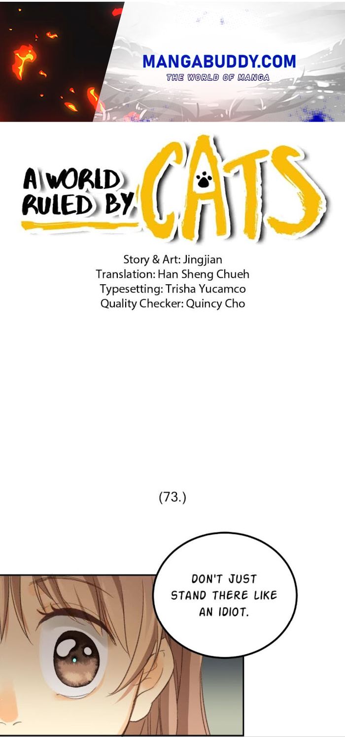 A World Ruled By Cats - Chapter 73