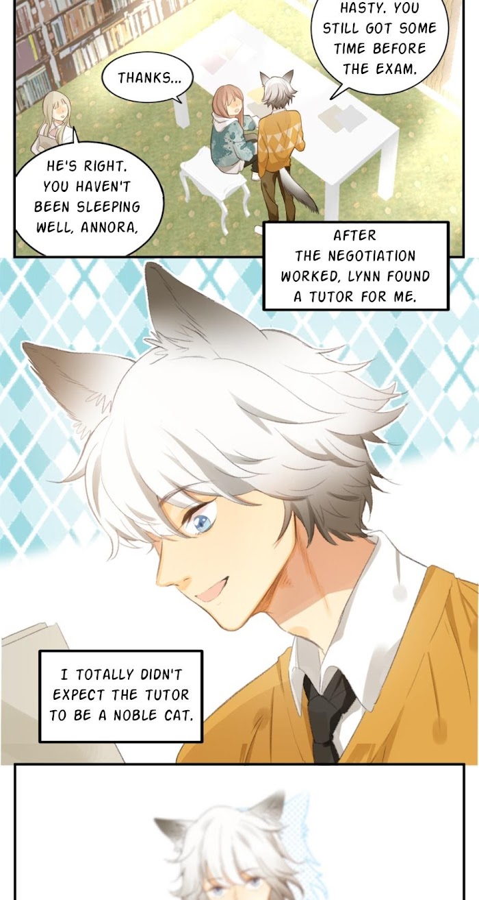 A World Ruled By Cats - Chapter 51