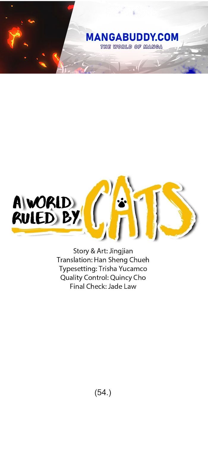 A World Ruled By Cats - Chapter 54