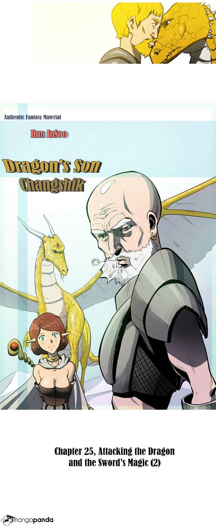 Dragon's Son Changsik - Chapter 25 : Attacking The Dragon And The Sword's Magic (2)