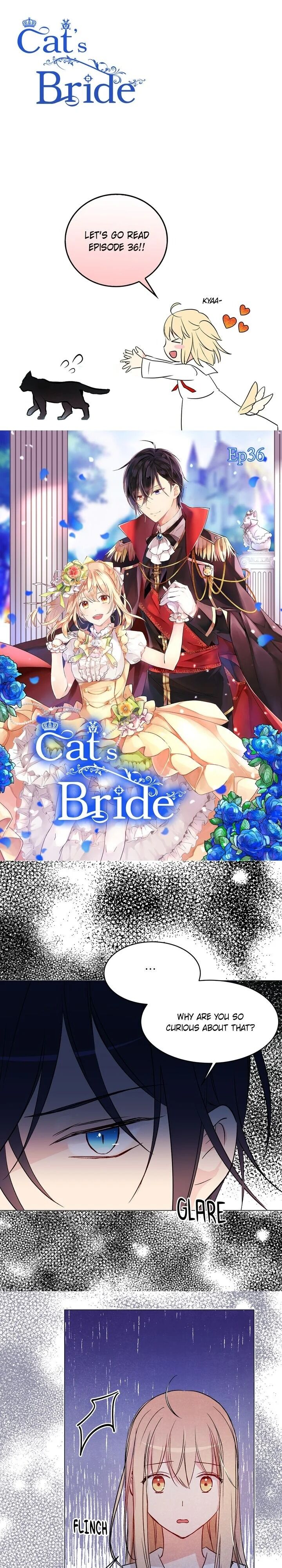 Cat's Bride - Chapter 36