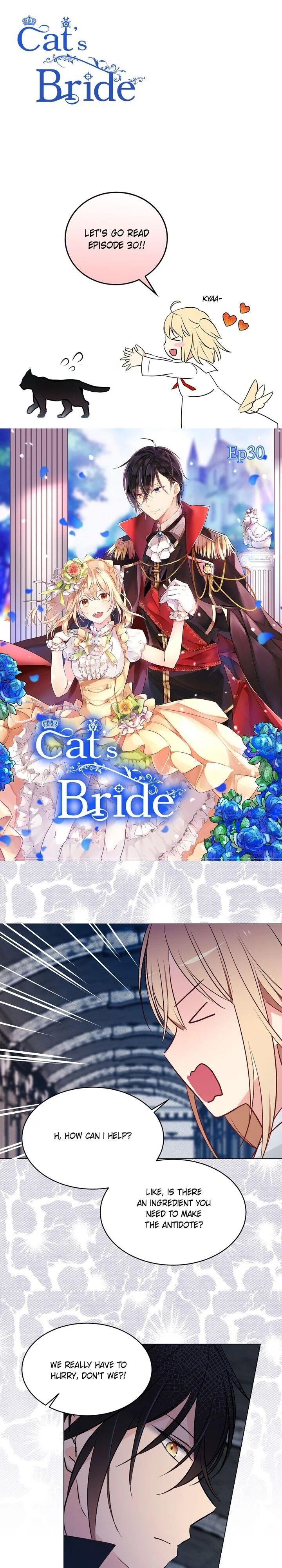 Cat's Bride - Chapter 30