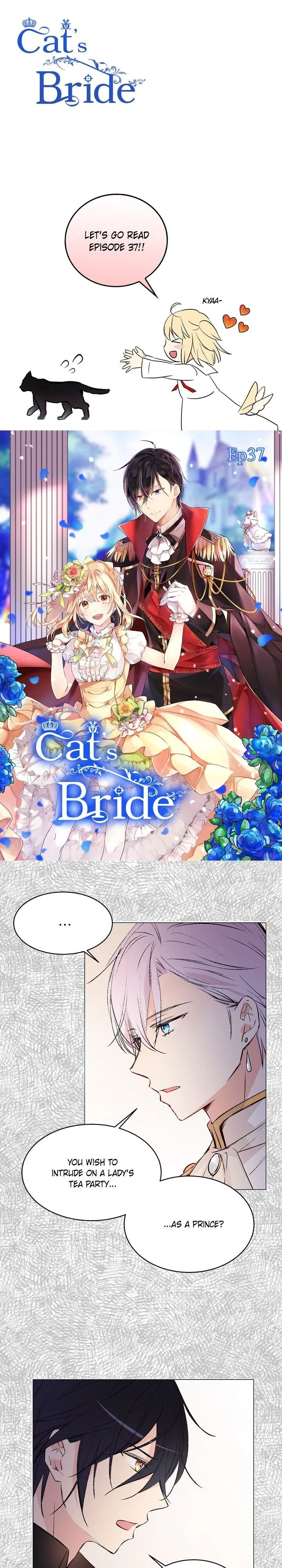 Cat's Bride - Chapter 37