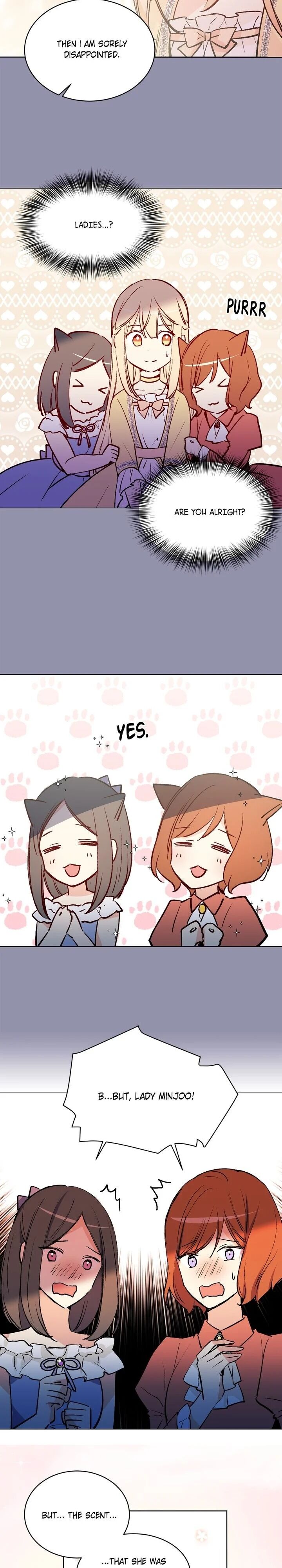 Cat's Bride - Chapter 44