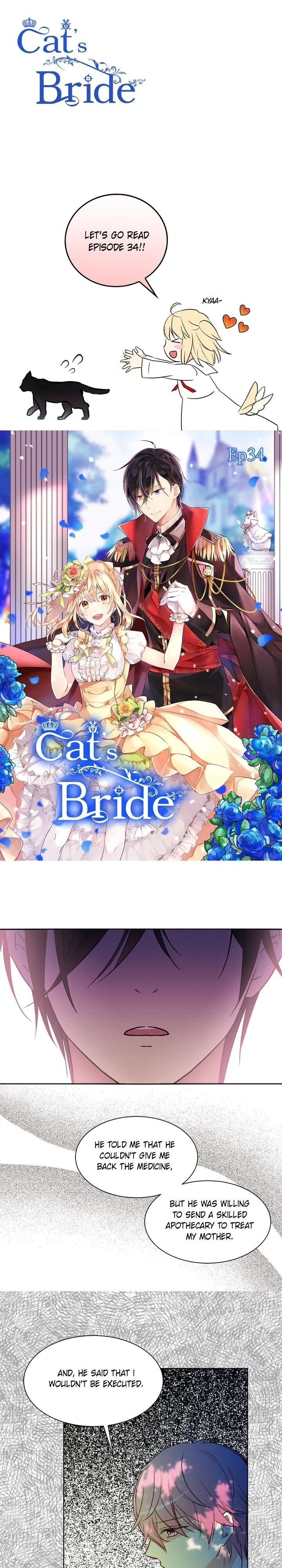 Cat's Bride - Chapter 34