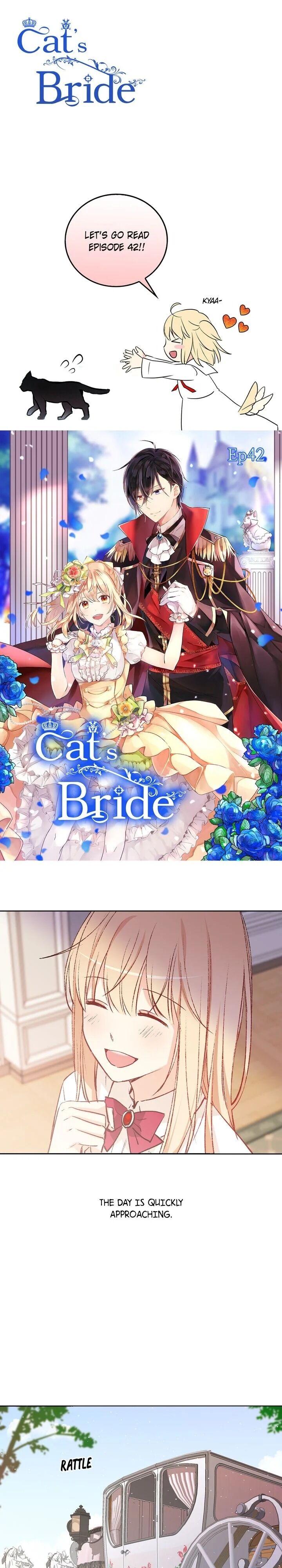 Cat's Bride - Chapter 42