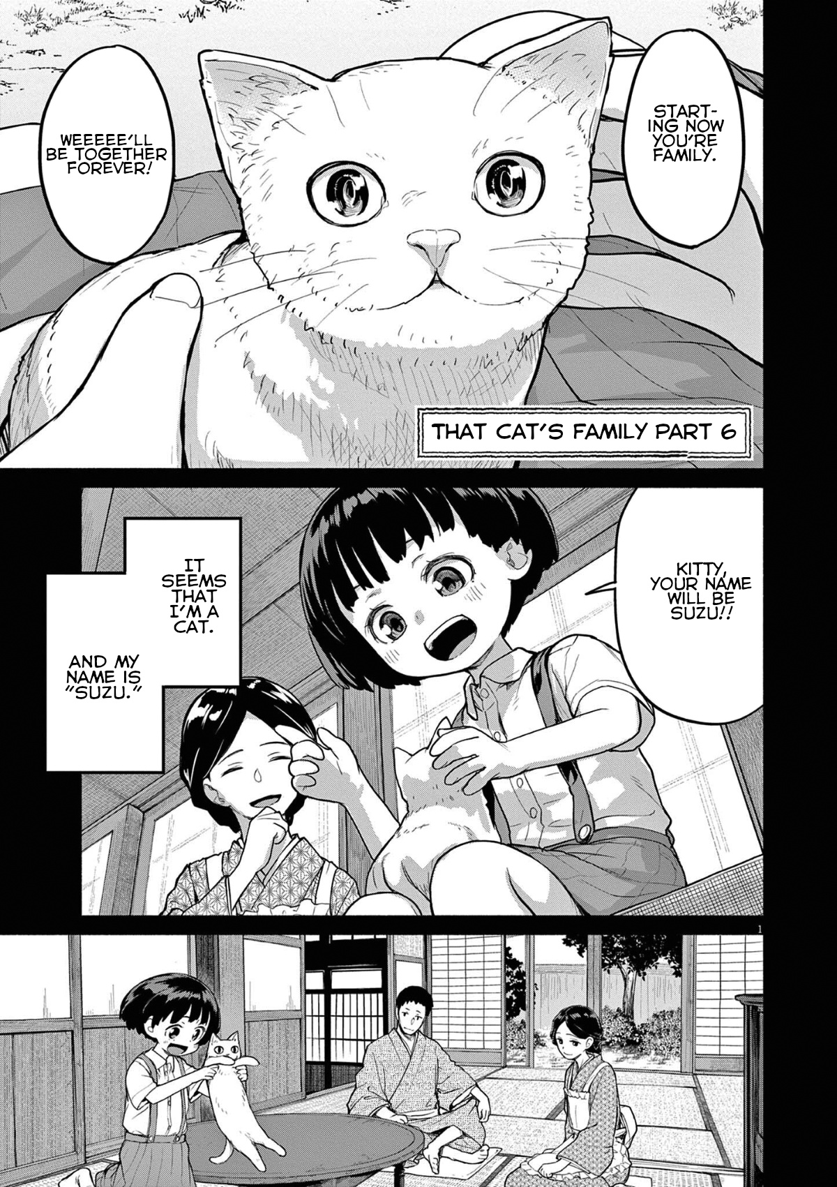 Mysteries, Maidens, And Mysterious Disappearances - Vol.5 Chapter 49: 49Th Mystery: That Cat's Family Part 6