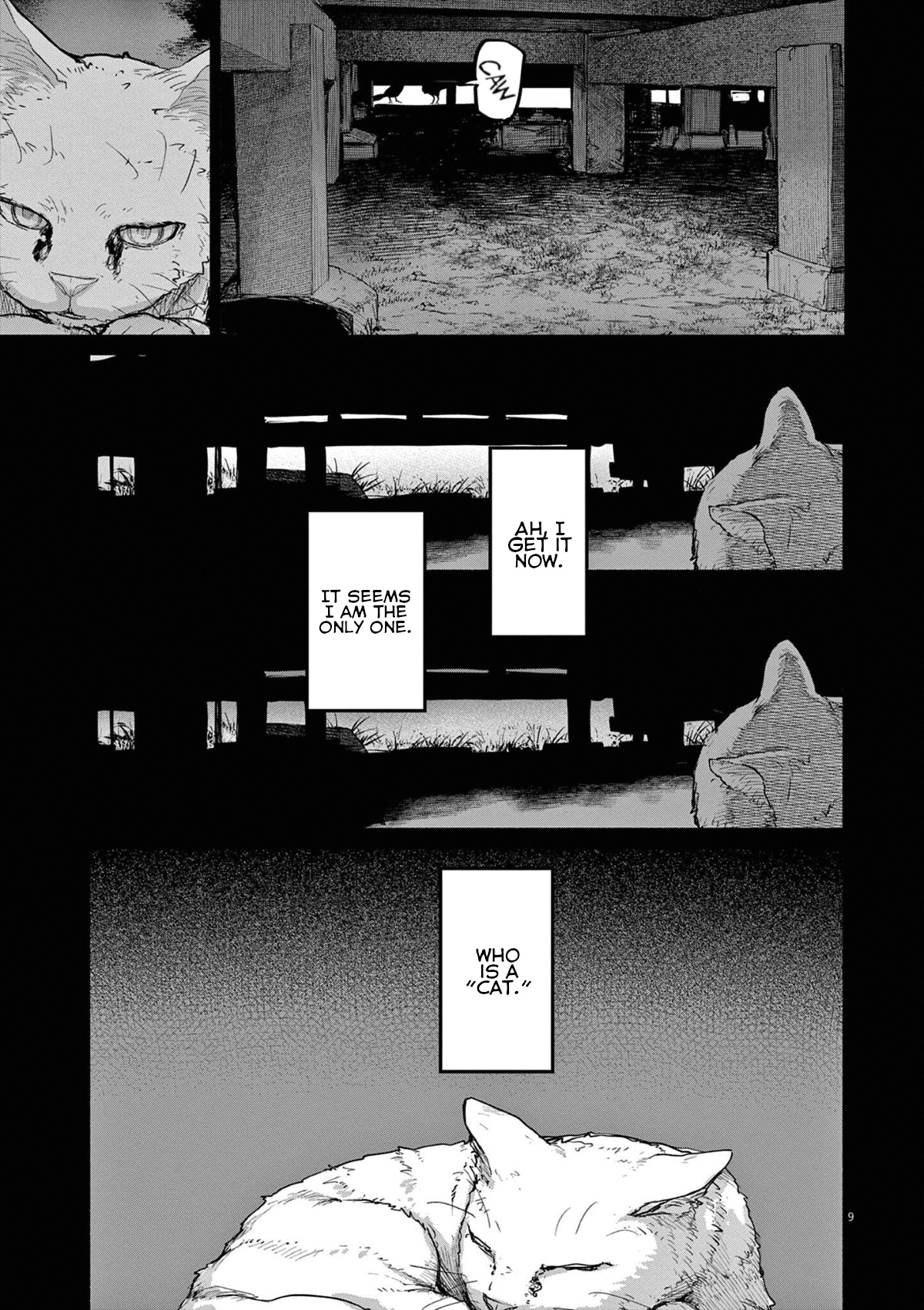 Mysteries, Maidens, And Mysterious Disappearances - Vol.5 Chapter 49: 49Th Mystery: That Cat's Family Part 6