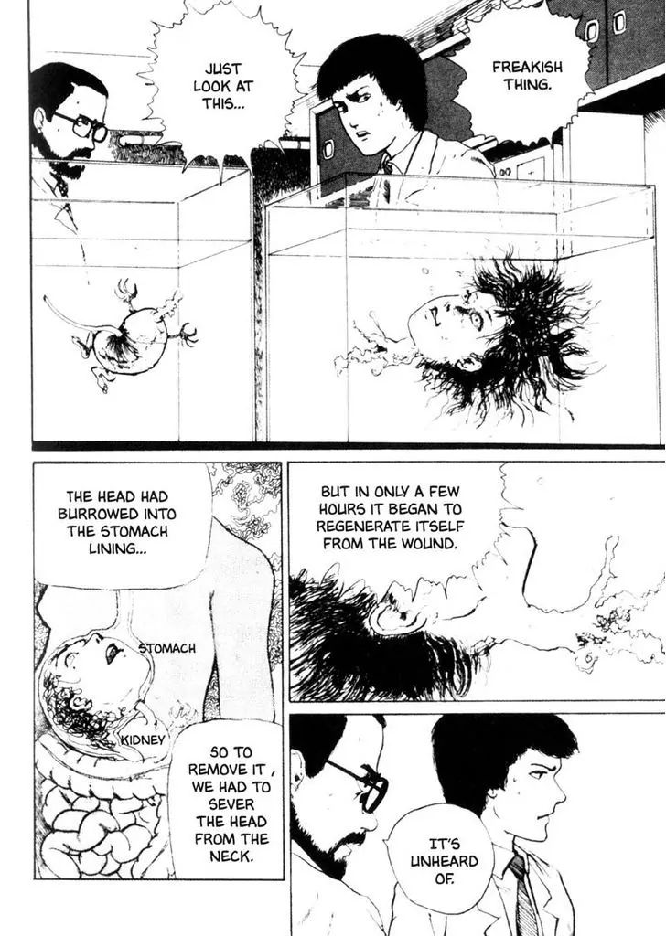 Itou Junji Kyoufu Manga Collection - Vol.2 Chapter 2: Basement