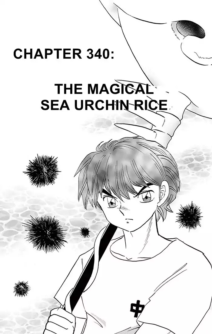 Kyoukai No Rinne - Chapter 340: The Magical Sea Urchin Rice