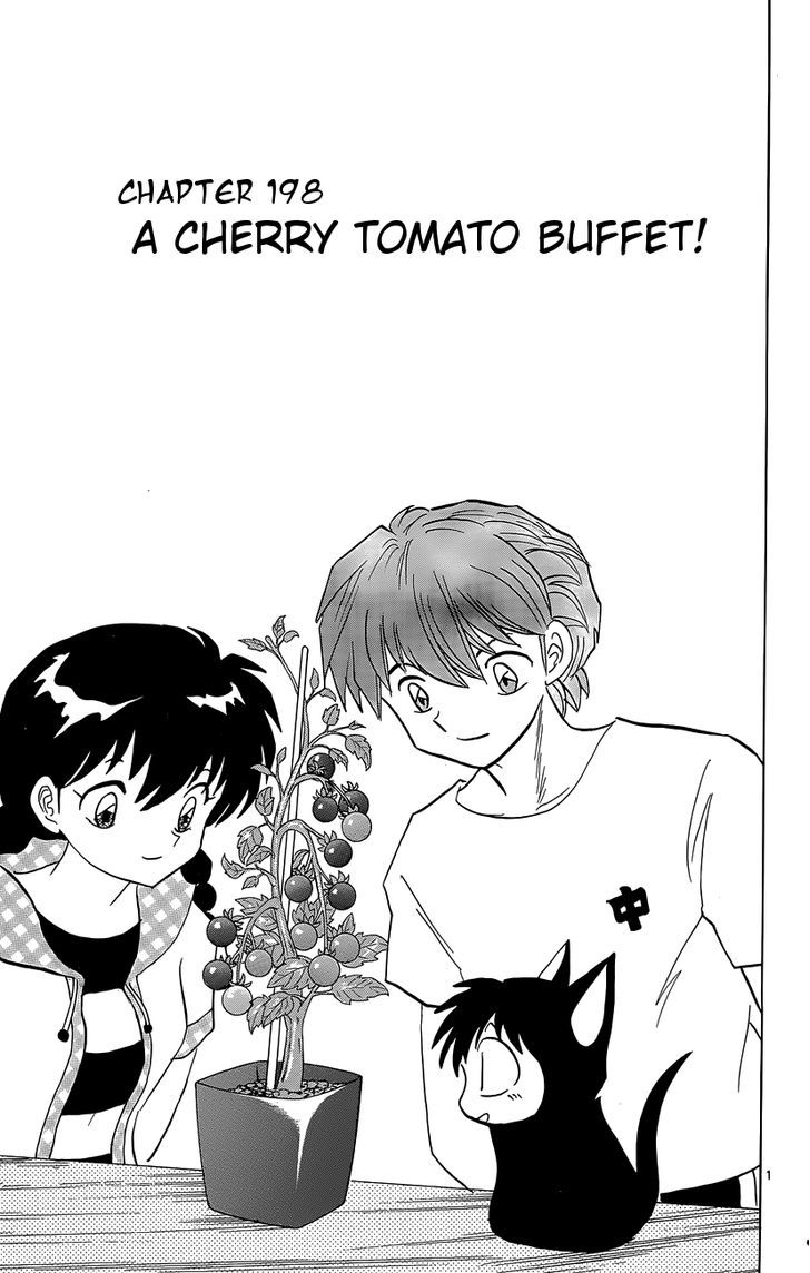 Kyoukai No Rinne - Vol.20 Chapter 198 : A Cherry Tomato Buffet!