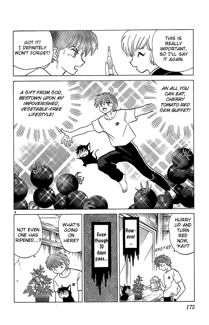 Kyoukai No Rinne - Vol.20 Chapter 198 : A Cherry Tomato Buffet!