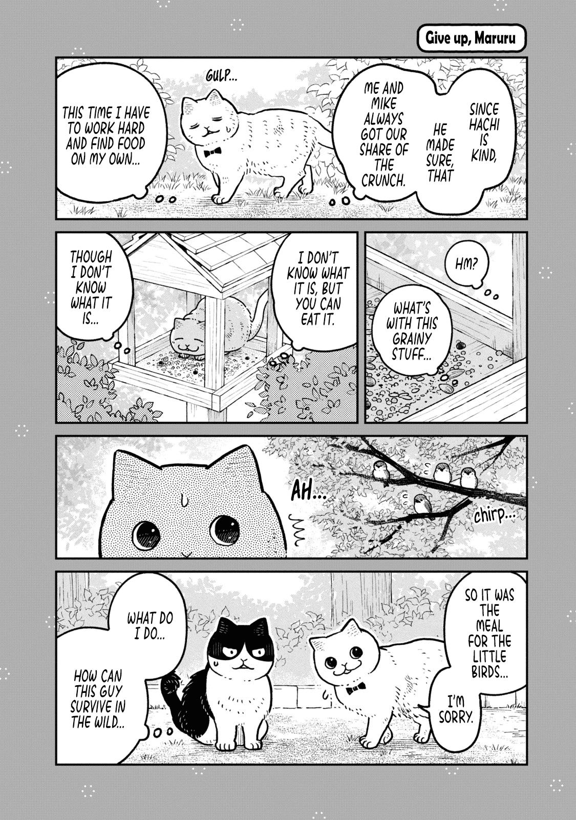 Cat Partners: Maruru And Hachi - Vol.2 Chapter 18.1: Volume 2 Bonus Chapters And Extra Pages