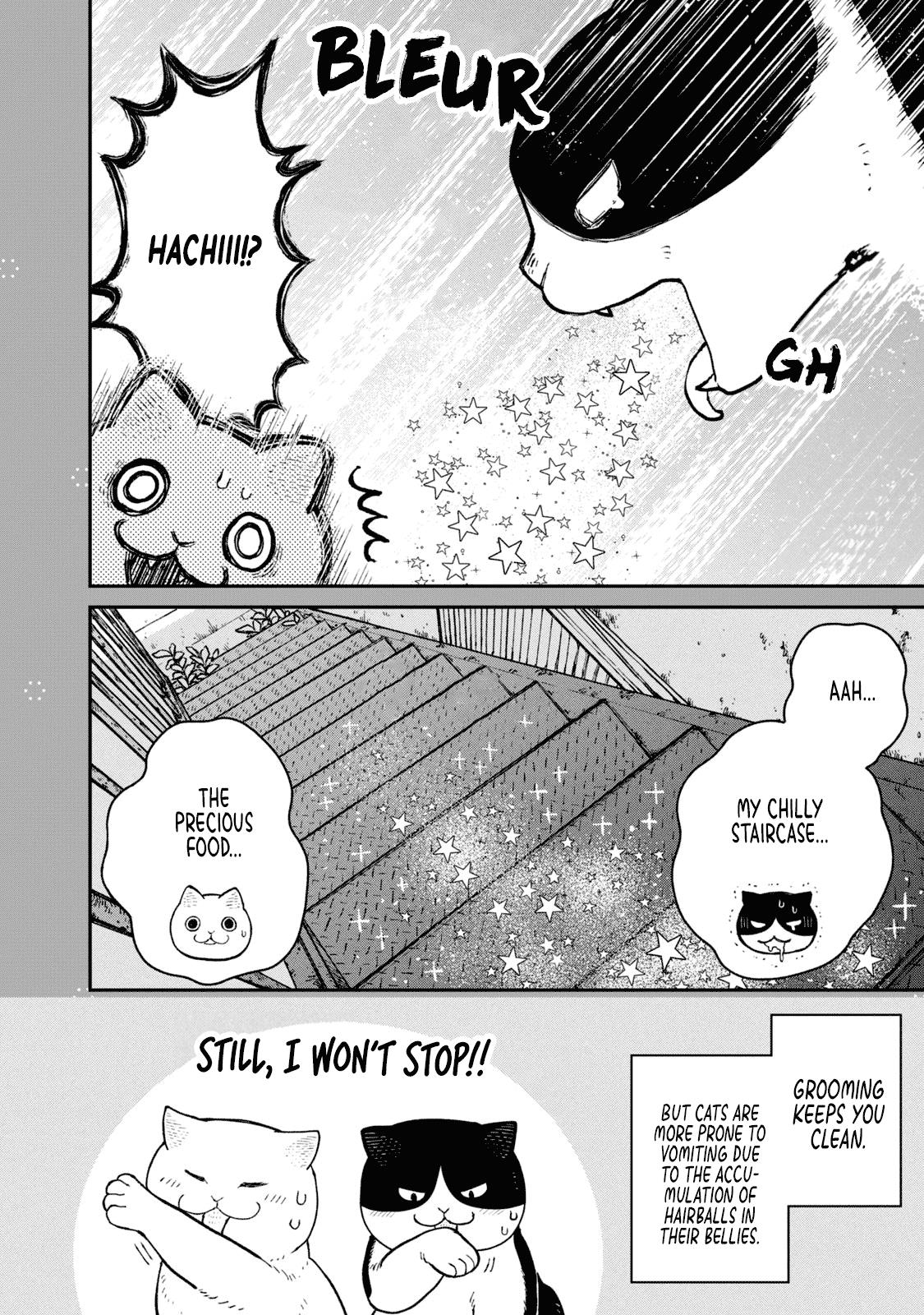 Cat Partners: Maruru And Hachi - Vol.2 Chapter 18.1: Volume 2 Bonus Chapters And Extra Pages