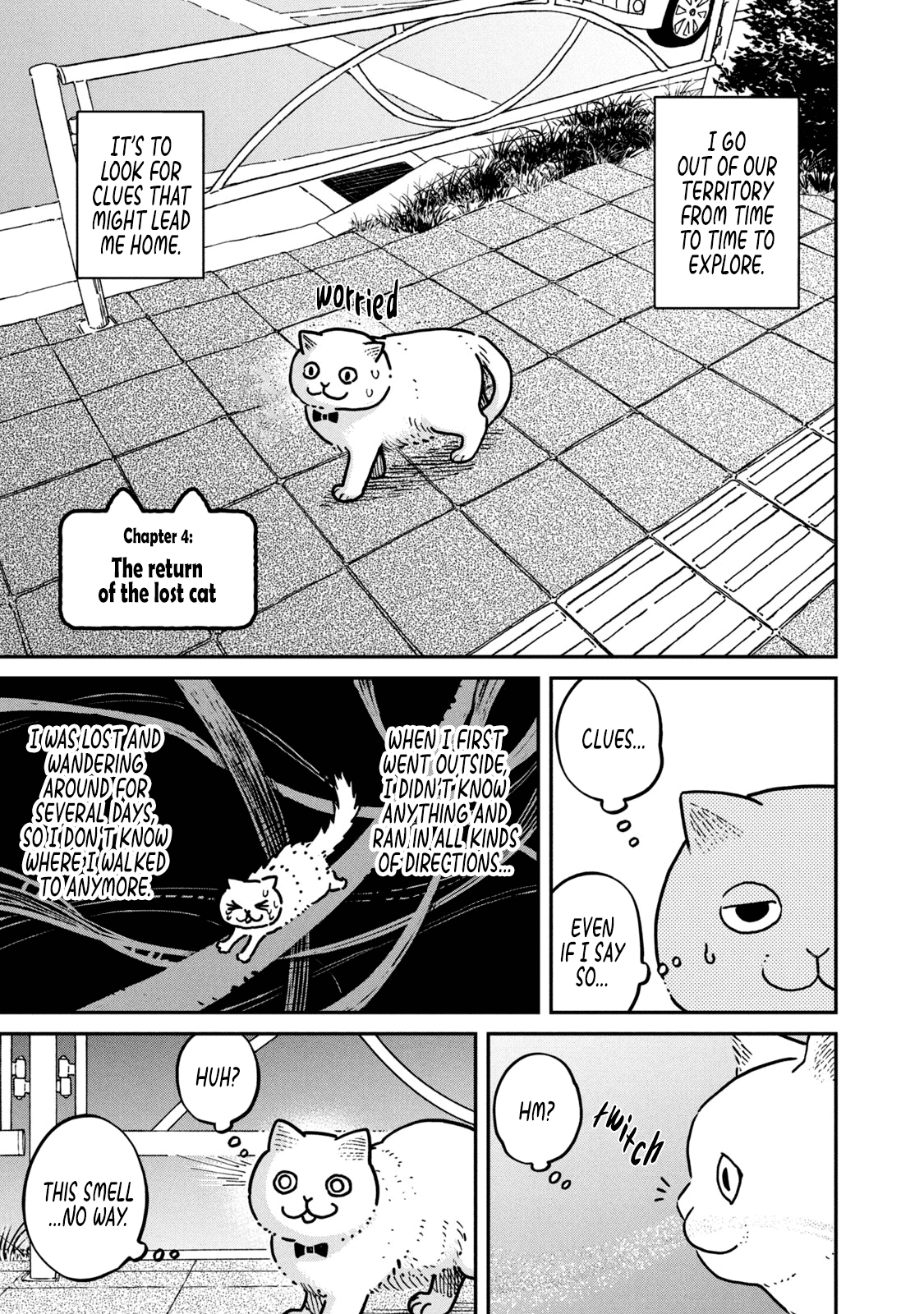 Cat Partners: Maruru And Hachi - Vol.1 Chapter 4: The Return Of The Lost Cat