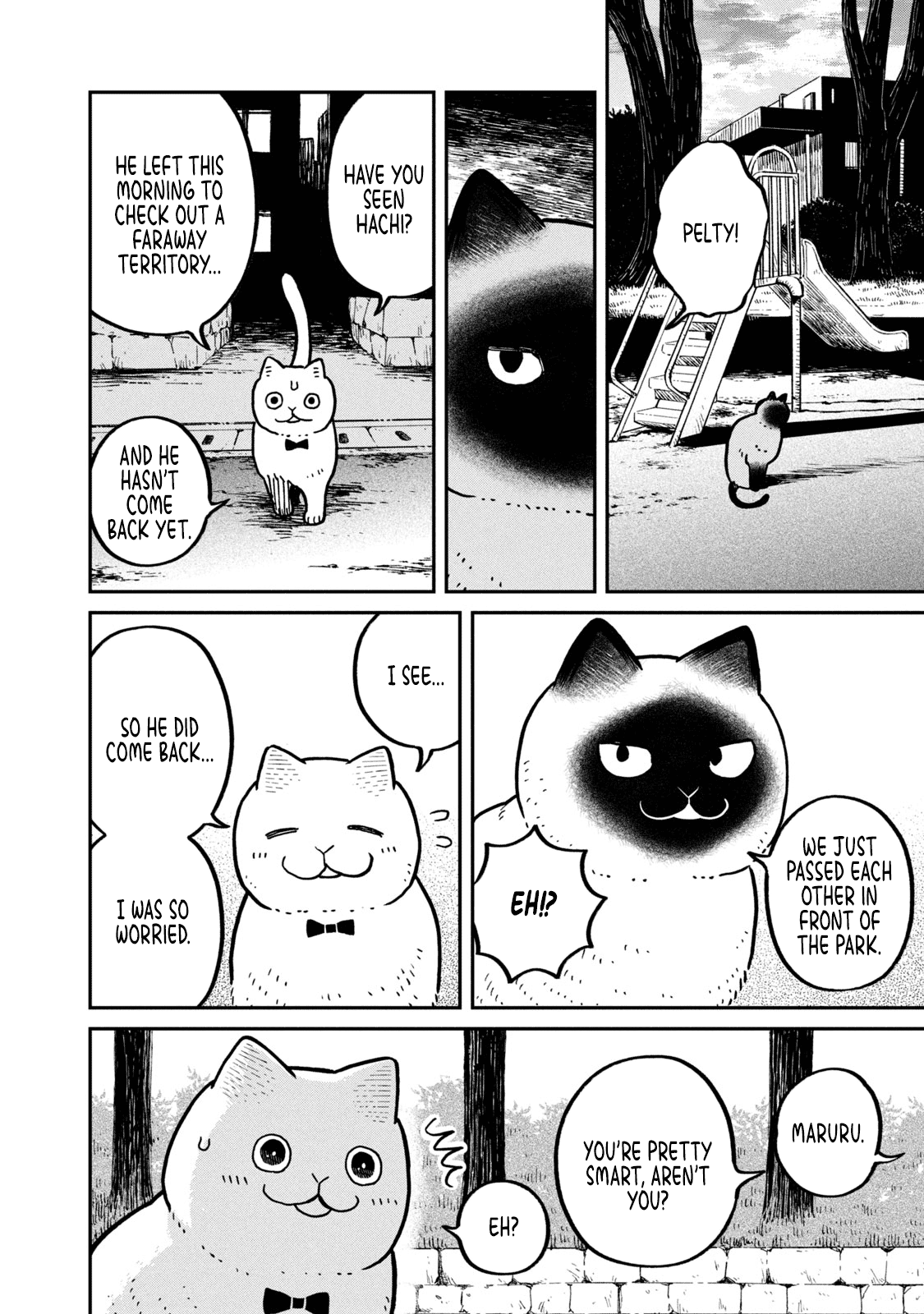 Cat Partners: Maruru And Hachi - Vol.2 Chapter 11: Hachi's Choice