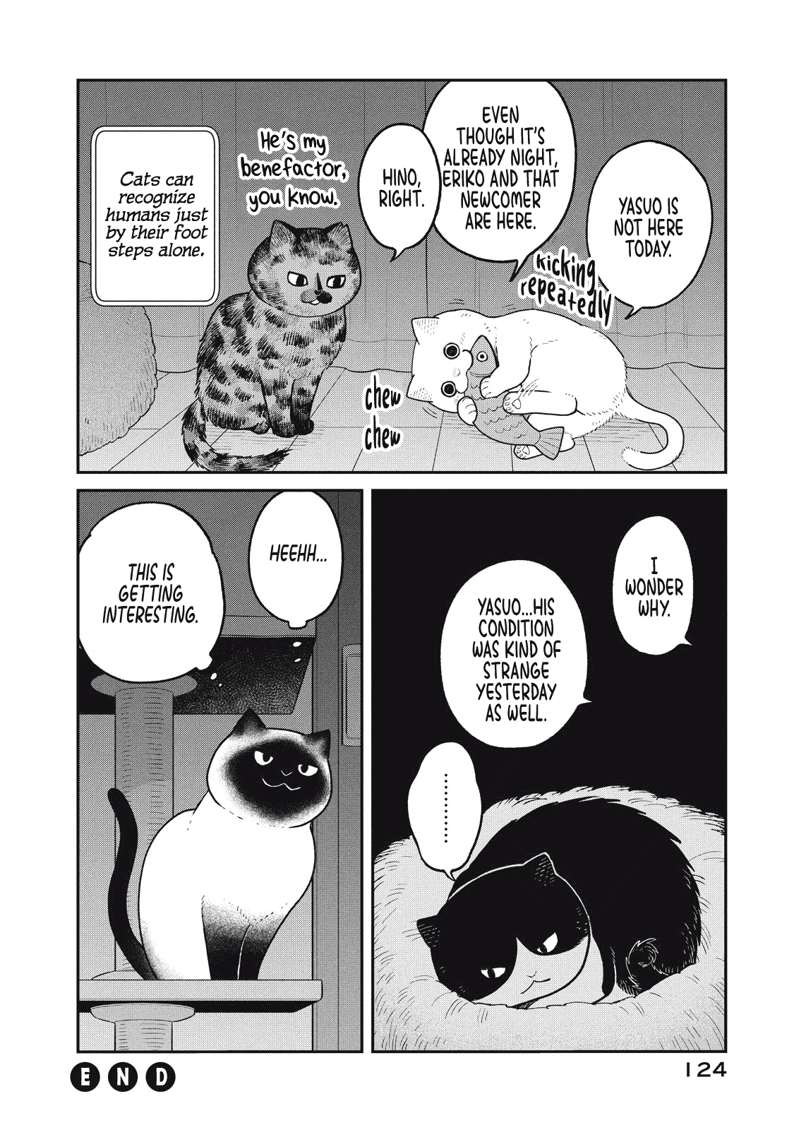 Cat Partners: Maruru And Hachi - Vol.3 Chapter 26: A New Companion