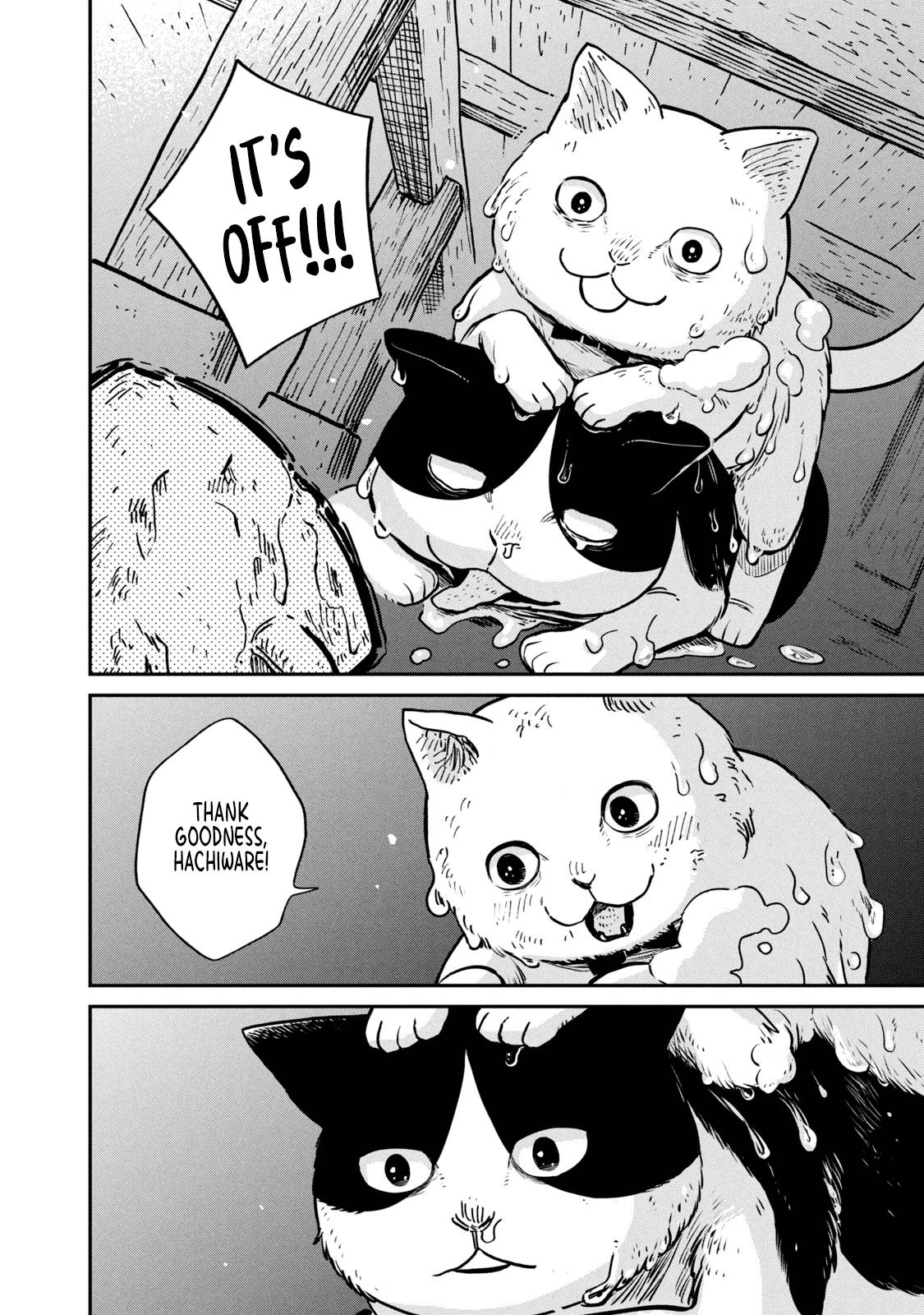 Cat Partners: Maruru And Hachi - Chapter 1: Maruru And Hachi