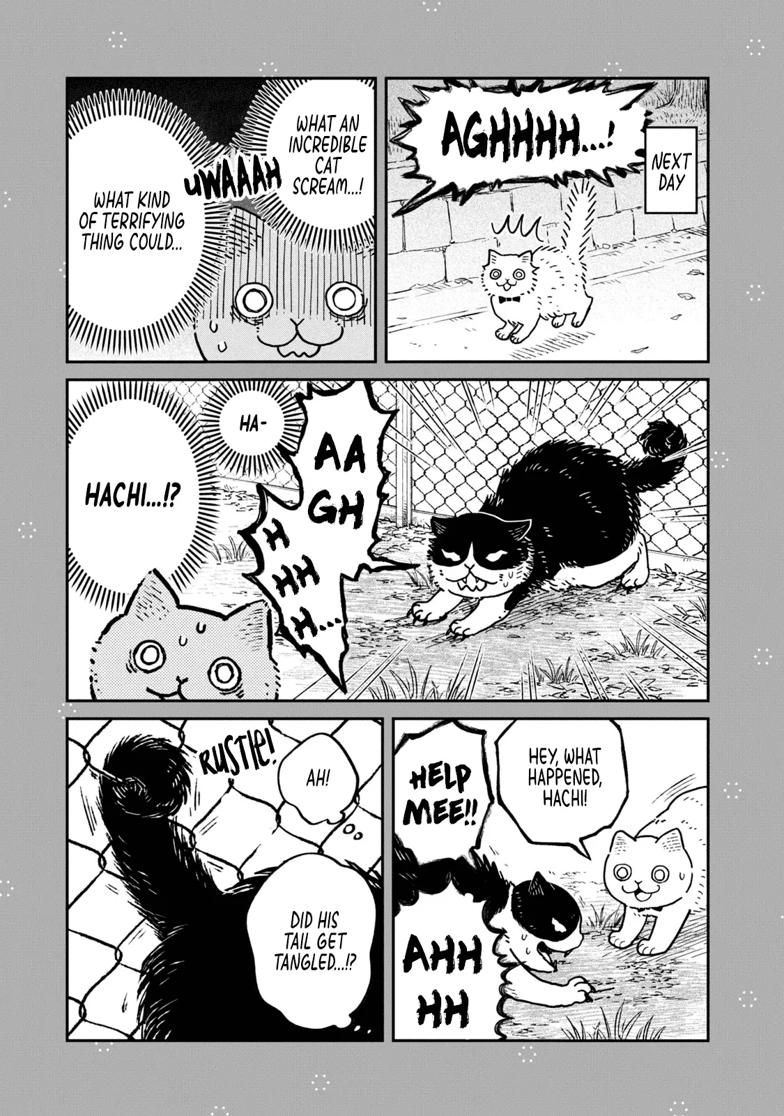 Cat Partners: Maruru And Hachi - Vol.3 Chapter 28.1: Volume 3 Bonus Chapters And Extra Pages