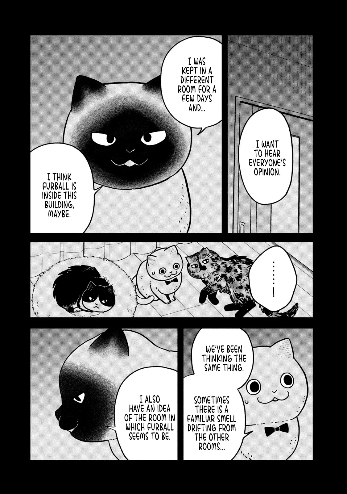 Cat Partners: Maruru And Hachi - Vol.3 Chapter 27: Night Of The Determined Execution