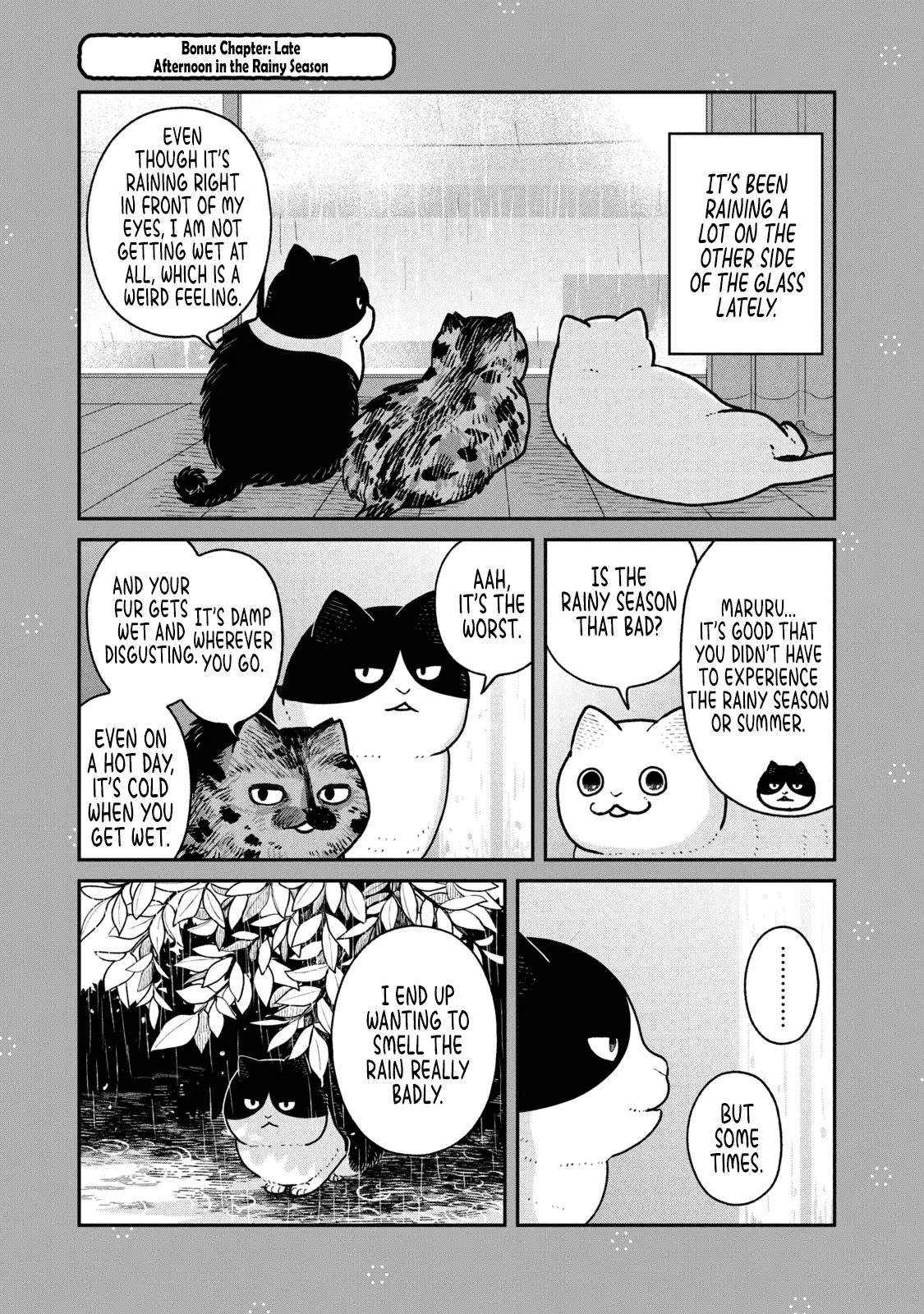 Cat Partners: Maruru And Hachi - Vol.3 Chapter 22.2: Bonus Chapter: Late Afternoon In The Rainy Season