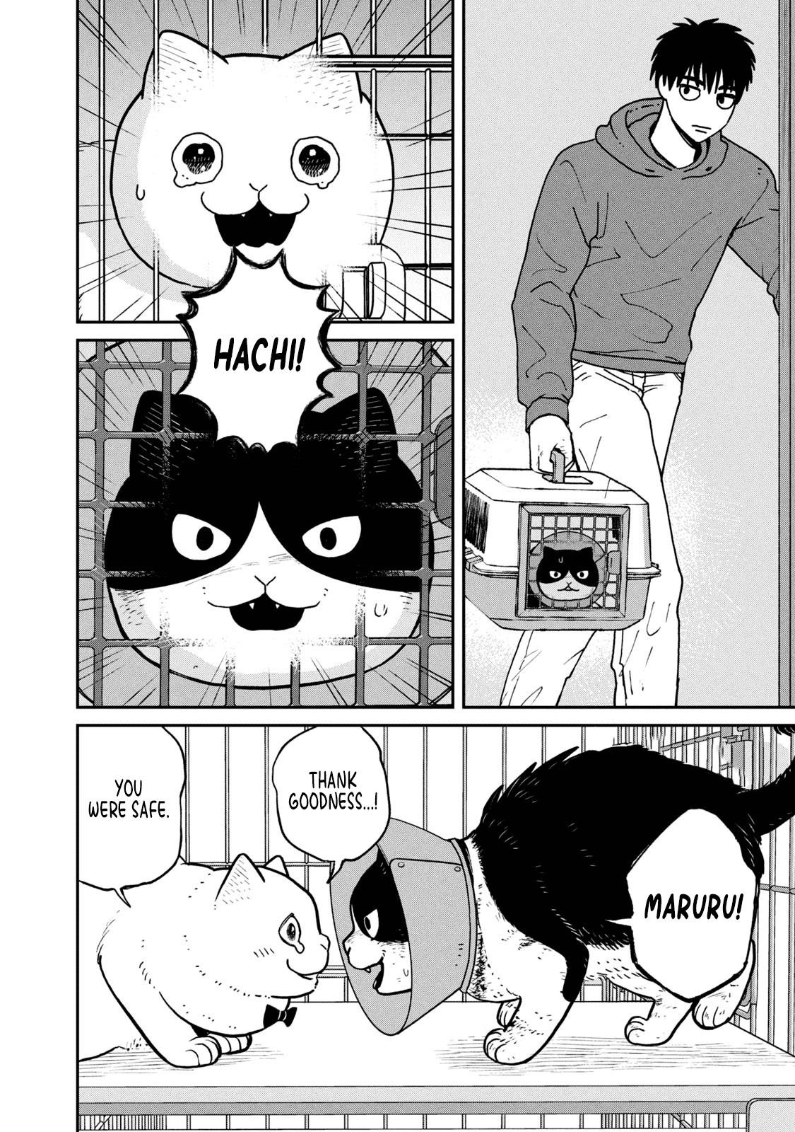 Cat Partners: Maruru And Hachi - Vol.2 Chapter 14: In A Cage, For Now