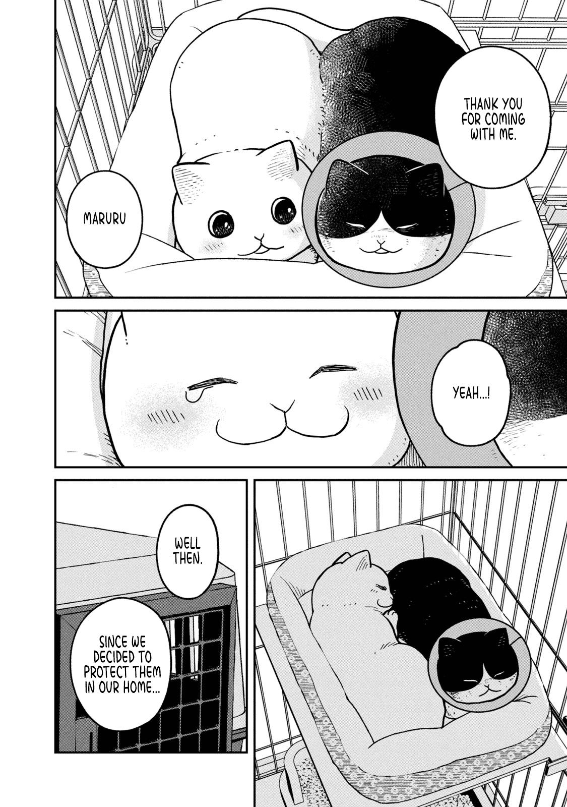 Cat Partners: Maruru And Hachi - Vol.2 Chapter 14: In A Cage, For Now