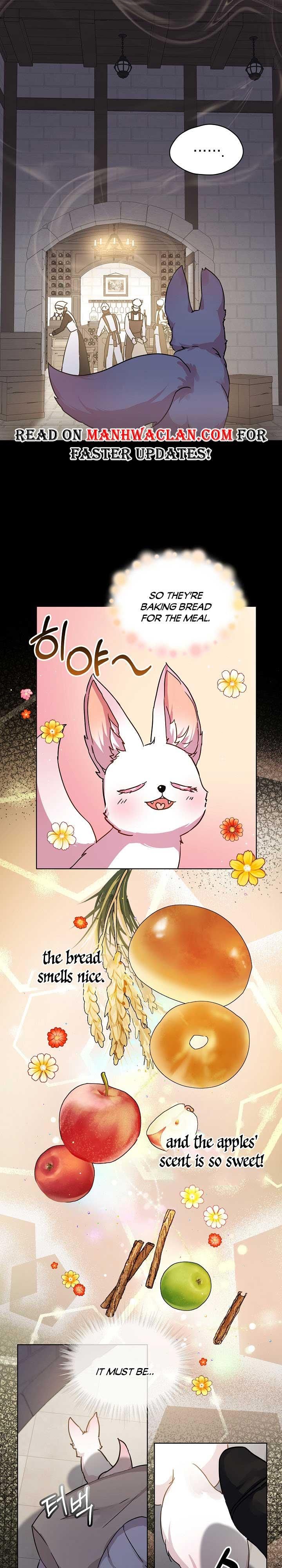 I Was Reincarnated As A Baby Fox God - Chapter 8