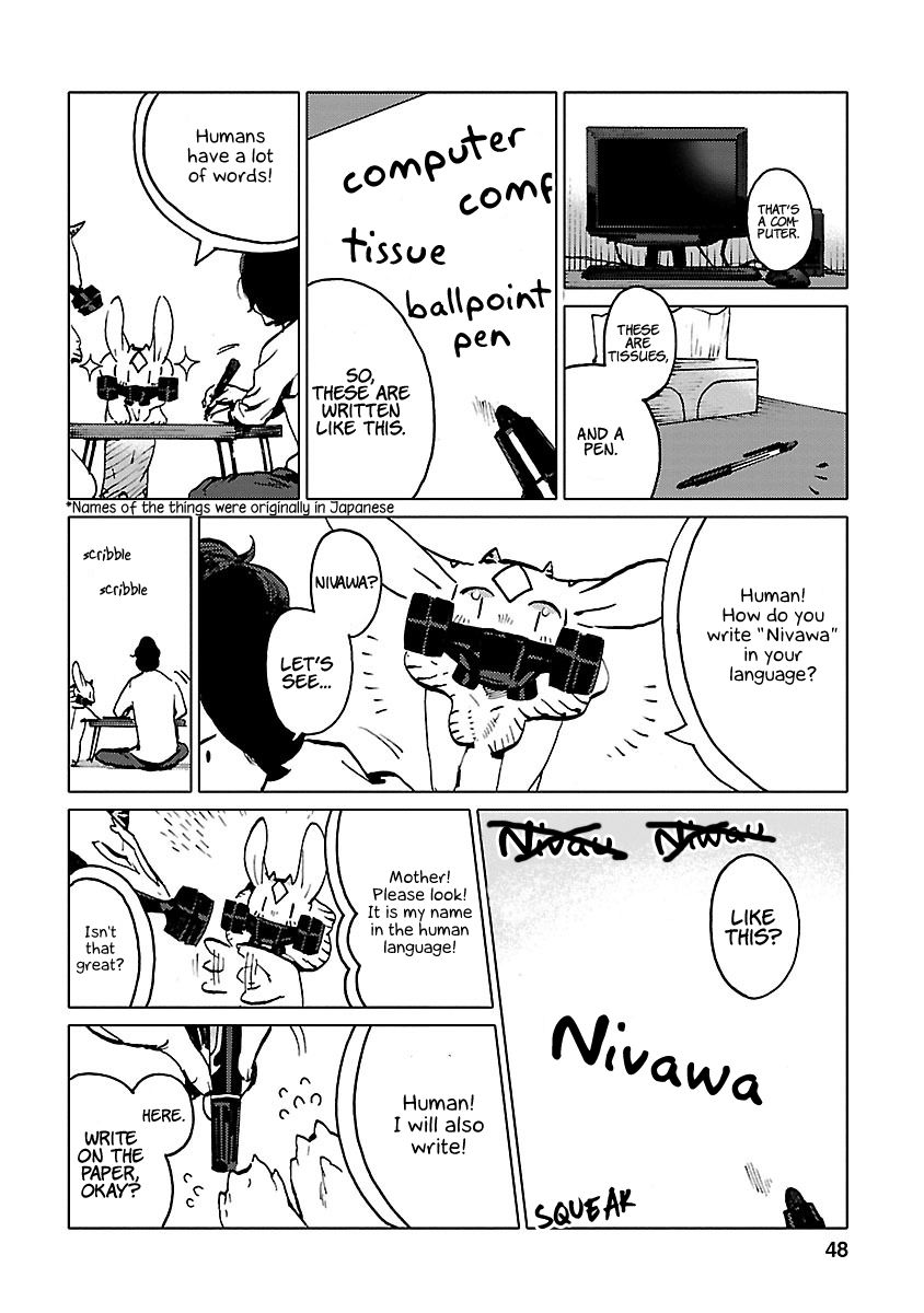 Nivawa To Saitou - Chapter 3