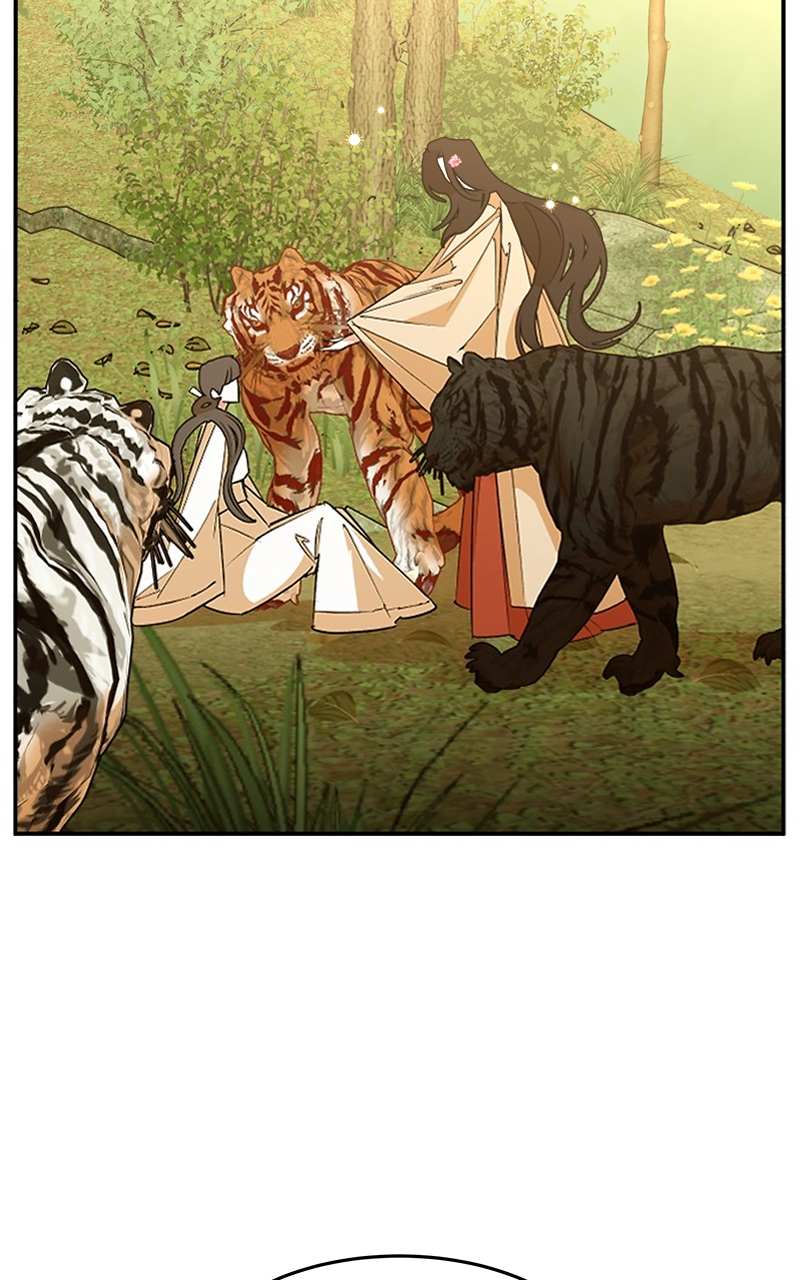 Goddess’s Way Of Attacking Tigers - Chapter 3