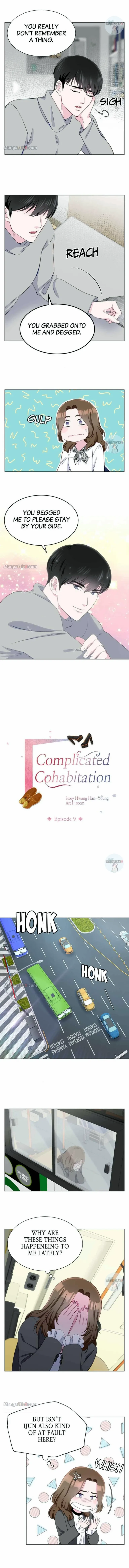 Complicated Cohabitation - Chapter 9